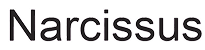 Narcissus