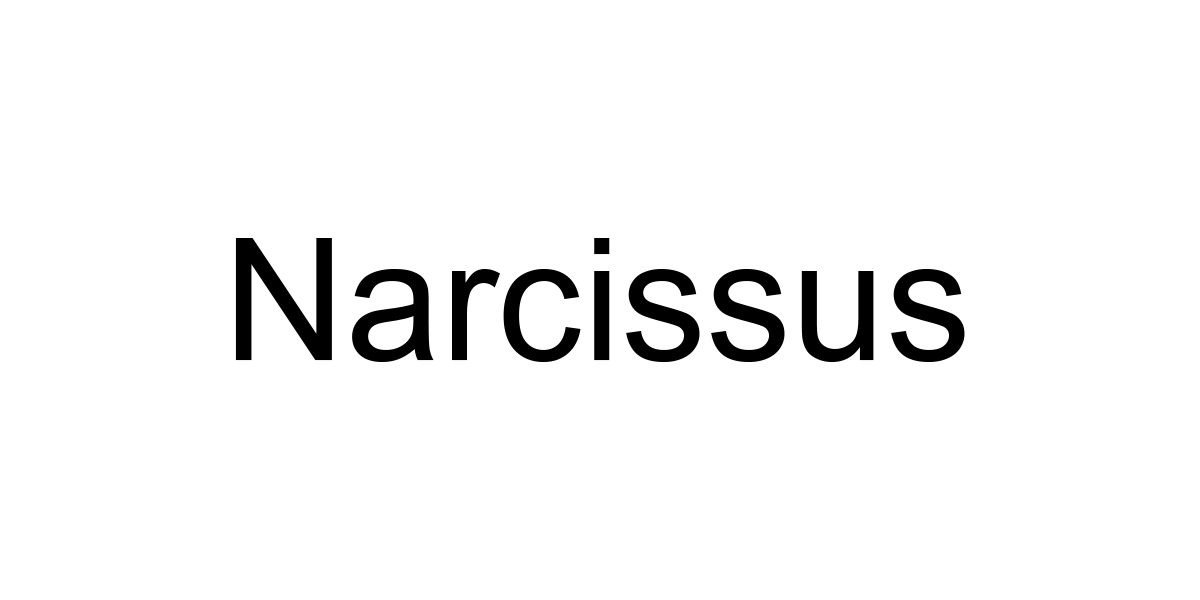 Narcissus コサージュベスト　ナルシス Narcissus（ナルシス）の「【Narcissus】コサージュベスト（ベスト